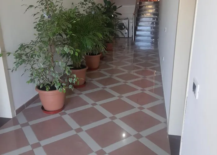 Aldesa * Golem (Tirana)